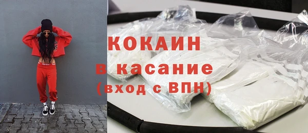 мет Няндома