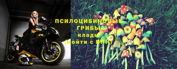 мет Няндома