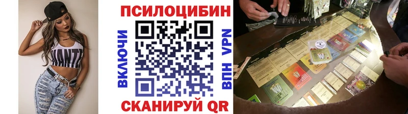 Галлюциногенные грибы Psilocybine cubensis  гидра вход  Кировград  что такое наркотик 